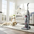 The Shark Navigator Vacuum That Handles Pet Hair Like a Pro